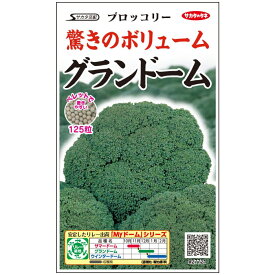 ブロッコリー グランドーム （ペレットシード約125粒） 実咲 袋