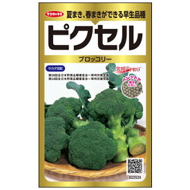 【P9倍！19日20:00-26日1:59】【サカタのタネ公式】 ブロッコリー ピクセル 野菜 種 ペレットシード約300粒 小袋 春まき 秋まき サカタ交配 簡単 初心者向き 育てやすい 美味しい 家庭菜園 栽培 収穫 園芸 ブロッコリー ぶろっこりー 種子 タネ たね