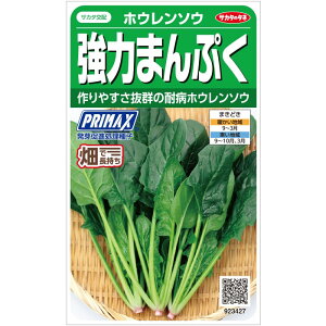 【サカタのタネ公式】 ホウレンソウ 強力まんぷく 野菜 種 プライマックス約750粒 小袋 春まき 秋まき サカタ交配 簡単 初心者向き 育てやすい プランター 鉢 美味しい 家庭菜園 ベランダ栽