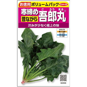【サカタのタネ公式】 ホウレンソウ 日本ほうれんそうタイプ 寒締め吾郎丸 野菜 種 約3750粒 小袋 秋まき サカタ交配 鉢植え 地植え 美味しい 家庭菜園 栽培 収穫 園芸 法蓮草 ホウレンソウ