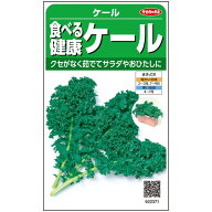 【サカタのタネ公式】 食べる健康 ケール 野菜 種 約650粒 小袋 春まき 秋まき 固定種 サラダ向き 家庭菜…