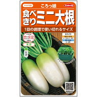 【P9倍！19日20:00-26日1:59】【サカタのタネ公式】 ミニダイコン ころっ娘 野菜 種 約100粒 小袋 春まき…