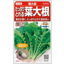 【サカタのタネ公式】 葉ダイコン 葉大臣 野菜 種 約900粒 小袋 春まき 秋まき サカタ交配 簡単 初心者向き 育てやす…