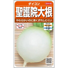 【サカタのタネ公式】 ダイコン 聖護院 野菜 種 約300粒 小袋 秋まき 固定種 地植え 家庭菜園 栽培 収穫 園芸 大根 だいこん 種子 タネ たね