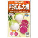 【サカタのタネ公式】 紅心ダイコン 天安紅心2号 野菜 種 約400粒 小袋 秋まき サカタ育成 鉢植え 地植え 家庭菜園 栽培 収穫 園芸 大根 だいこん 種子 タネ たね