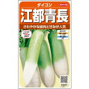 【サカタのタネ公式】 ミニダイコン 江都青長 野菜 種 約500粒 小袋 秋まき 固定種 鉢植え 地植え 家庭菜園 栽培 収穫 園芸 大根 だいこん 種子 タネ たね