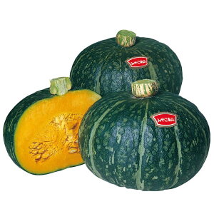 �J�{�`�� �݂₱ �i��100���j ���