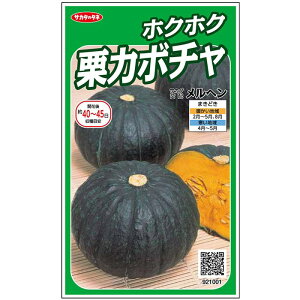 �J�{�`�� �����w�� �i��10���j ���� ��