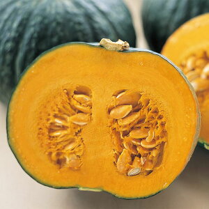 �J�{�`�� �����w�� �i��100���j ���