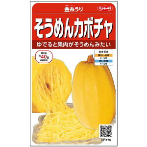 �����߂�J�{�`�� �������� �i��30���j ���� ��