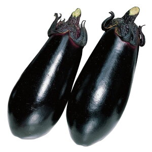 �i�X ���� �ʔ̌��� �i��200���j ��