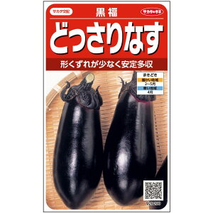 �i�X ���� �i��80���j ���� ��