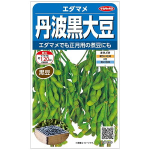 �G�_�}�� �O�g���哤 �i��22���j ���� ��