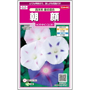 yTJ^̃^lz ATKI ̍   15  t܂ ă}`J[ A nA ȒP SҌ Ă₷ v^[ x_͔|K[fjO |  