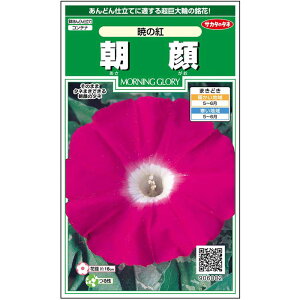 yTJ^̃^lz ATKI ł̍g   10  t܂ ăsN A nA ȒP SҌ Ă₷ v^[ x_͔|K[fjO |  q ^l 