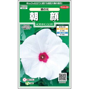 yTJ^̃^lz ATKI ł̌   10  t܂ ăzCg A nA ȒP SҌ Ă₷ v^[ x_͔|K[fjO |  q ^