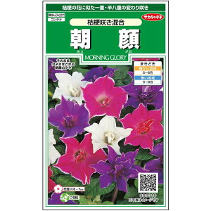 �y�T�J�^�̃^�l�����z �A�T�K�I �j�[�炫 ���� �� �� ��14�� ���� �t�܂� �ă}���`�J���[ ���A�� �n�A�� �ȒP ���S�Ҍ��� ��Ă₷�� �v�����^�[ ���x�����_�͔|�K�[�f�j���O ���| ���� ����