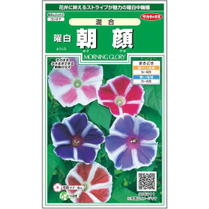 yTJ^̃^lz ATKI j    10  t܂ ă}`J[ A nA ȒP SҌ Ă₷ v^[ x_͔|K[fjO |  