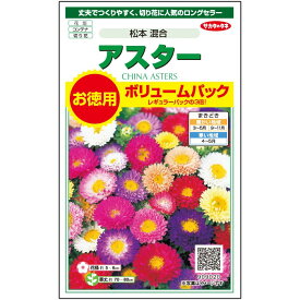 【サカタのタネ公式】 アスター 松本 混合 花 種 約558粒 小袋 春まき 秋まき夏 秋 マルチカラー 鉢植え 地植え 切り花育てやすいガーデニング 園芸種子 タネ たね