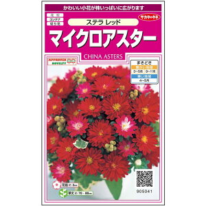 yTJ^̃^lz AX^[ Xe bh   72  t܂ H܂ H bh A nA ؂ԈĂ₷K[fjO |q ^l 