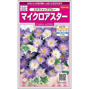 yTJ^̃^lz AX^[ Xe gbvu[   72  t܂ H܂ H u[ A nA ؂ԈĂ₷K[fjO |q ^l 