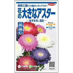 yTJ^̃^lz AX^[ XL    100  t܂  H }`J[ A nA ƒ؉ ͔| K[fjO | AX^[ [ q ^l 