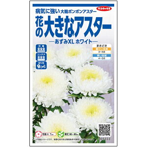 yTJ^̃^lz AX^[ XL zCg   100  t܂  H zCg A nA ƒ؉ ͔| K[fjO | AX^[ [ q ^l 