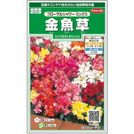 【サカタのタネ公式】 キンギョソウ フローラルシャワー ミックス 花 種 約90粒 小袋 春まき 秋まき 春 …