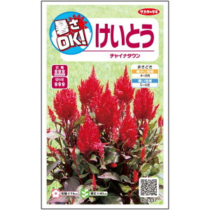 yTJ^̃^lz PCgE `Ci ^E   30  t܂  H bh A nA ؂ԊȒP SҌ Ă₷ v^[ x_͔|K[fjO | {