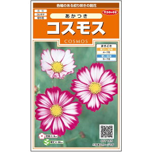 yTJ^̃^lz RXX    86  t܂  H oCJ[ A nA ؂ԊȒP SҌ Ă₷ v^[ x_͔|K[fjO | H 