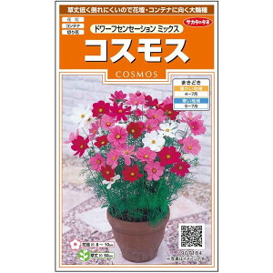 yTJ^̃^lz RXX h[tZZ[V ~bNX   86  t܂  H }`J[ A nA ؂ԊȒP SҌ Ă₷ v^[ x_