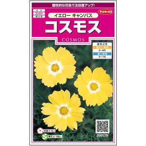 yTJ^̃^lz RXX CG[ LpX   100  t܂  H CG[ A nA ؂ԊȒP SҌ Ă₷ v^[ x_͔|K[fjO 