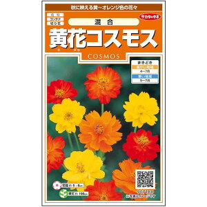 yTJ^̃^lz ԃRXX  uCgCg   58  t܂  H }`J[ A nA ؂ԊȒP SҌ Ă₷ v^[ x_͔|K[f