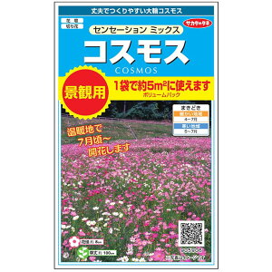 yTJ^̃^lz RXX ZZ[V~bNX   1100  t܂  H sN AȒP SҌ Ă₷K[fjO | H q ^l 