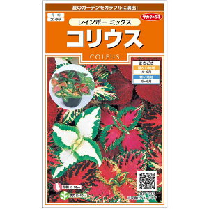 yTJ^̃^lz REX C{[ ~bNX   72  t܂  H }`J[ A nA ȒP SҌ Ă₷ v^[ x_͔|K[fjO |