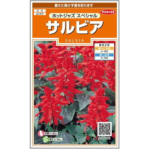 yTJ^̃^lz TrA zbgWY XyV   55  t܂  H bh A nAv^[ x_͔|K[fjO |q ^l 