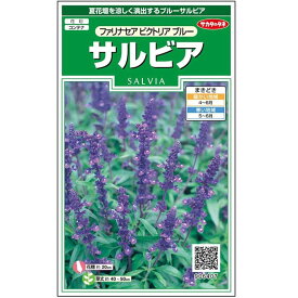 【サカタのタネ公式】 サルビア ファリナセア ビクトリア ブルー 花 種 約91粒 小袋 春まき 夏 秋 ブルー 鉢植え 地植えプランター 鉢ベランダ栽培ガーデニング 園芸種子 タネ たね