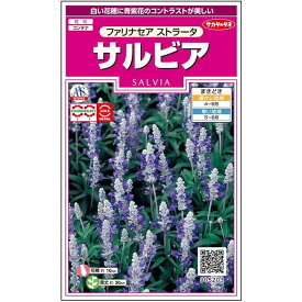 【サカタのタネ公式】 サルビア ファリナセア ストラータ 花 種 約91粒 小袋 春まき 夏 秋 バイカラー 鉢植え 地植えプランター 鉢ベランダ栽培ガーデニング 園芸種子 タネ たね