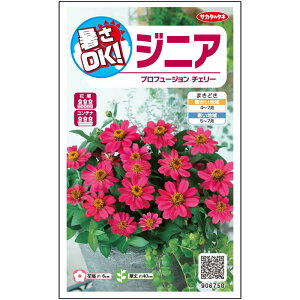 �y�T�J�^�̃^�l�����z �W�j�A �S���� �v���t���[�W���� �`�F���[ �� �� ��10�� ���� �t�܂� �� �H �s���N ���A�� �n�A�� �؂�ԊȒP ���S�Ҍ��� ��Ă₷�� �v�����^�[ ���x�����_�͔|�K�[�f