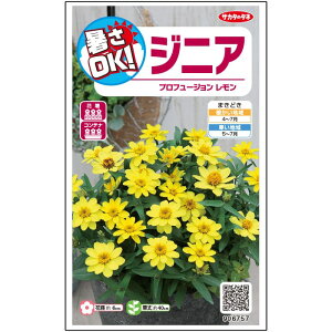 �y�T�J�^�̃^�l�����z �W�j�A �S���� �v���t���[�W���� ������ �� �� ��10�� ���� �t�܂� �� �H �C�G���[ ���A�� �n�A�� �؂�ԊȒP ���S�Ҍ��� ��Ă₷�� �v�����^�[ ���x�����_�͔|�K�[�f