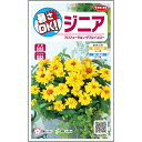 【サカタのタネ公式】 ジニア 百日草 プロフュージョンダブル イエロー 花 種 約10粒 小袋 春まき 夏 秋 イエロー 鉢植え 地植え 切り花簡単 初心者向き 育てやすい プランター 鉢ベランダ栽培ガーデニング 園芸種子 タネ たね