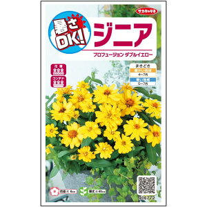 yTJ^̃^lz WjA S vt[W_u CG[   10  t܂  H CG[ A nA ؂ԊȒP SҌ Ă₷ v^[ x_