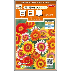 yTJ^̃^lz WjA S \u   36  t܂  H }`J[ A nA ؂ԊȒP SҌ Ă₷ v^[ x_͔|K[fjO 