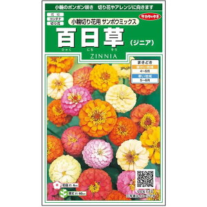 yTJ^̃^lz WjA S T{E ~bNX   29  t܂  H }`J[ A nA ؂ԊȒP SҌ Ă₷ v^[ x_͔|K[fj