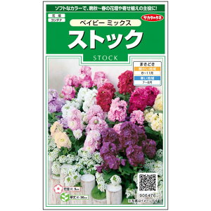yTJ^̃^lz XgbN xCr[ ~bNX   30  H܂ }`J[ A nA ƒ؉ ͔| K[fjO | q ^l 