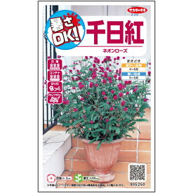 【サカタのタネ公式】 センニチコウ ネオン ローズ 花 種 クリーンシード約58粒 小袋 春まき 夏 秋 ピンク 鉢植え 地植え 切り花 ドライフラワー 簡単 初心者向き 育てやすい プランター 鉢ベランダ栽培ガーデニング 園芸 千日紅 種子 タネ たね