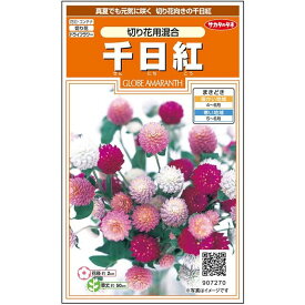 【サカタのタネ公式】 センニチコウ 切り花用 混合 花 種 クリーンシード約42粒 小袋 春まき 夏 秋 マルチカラー 鉢植え 地植え 切り花 ドライフラワー 簡単 初心者向き 育てやすい プランター 鉢ベランダ栽培ガーデニング 園芸 千日紅 種子 タネ たね