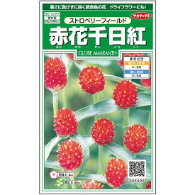 【サカタのタネ公式】 センニチコウ ストロベリー フィールド 花 種 クリーンシード約25粒 小袋 春まき 夏 秋 レッド 鉢植え 地植え 切り花 ドライフラワー 簡単 初心者向き 育てやすい プランター 鉢ベランダ栽培ガーデニング 園芸 千日紅 種子 タネ たね