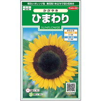 楽天市場】坂田明 ひまわりの通販 