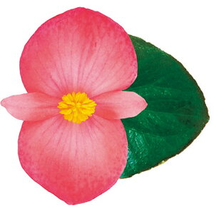 yTJ^̃^lz xSjA oCLO(R)XL sNIO[   ybgV[h20  t܂ H܂ t  H sN A nA ƒ؉ ͔| K[fjO | xSj